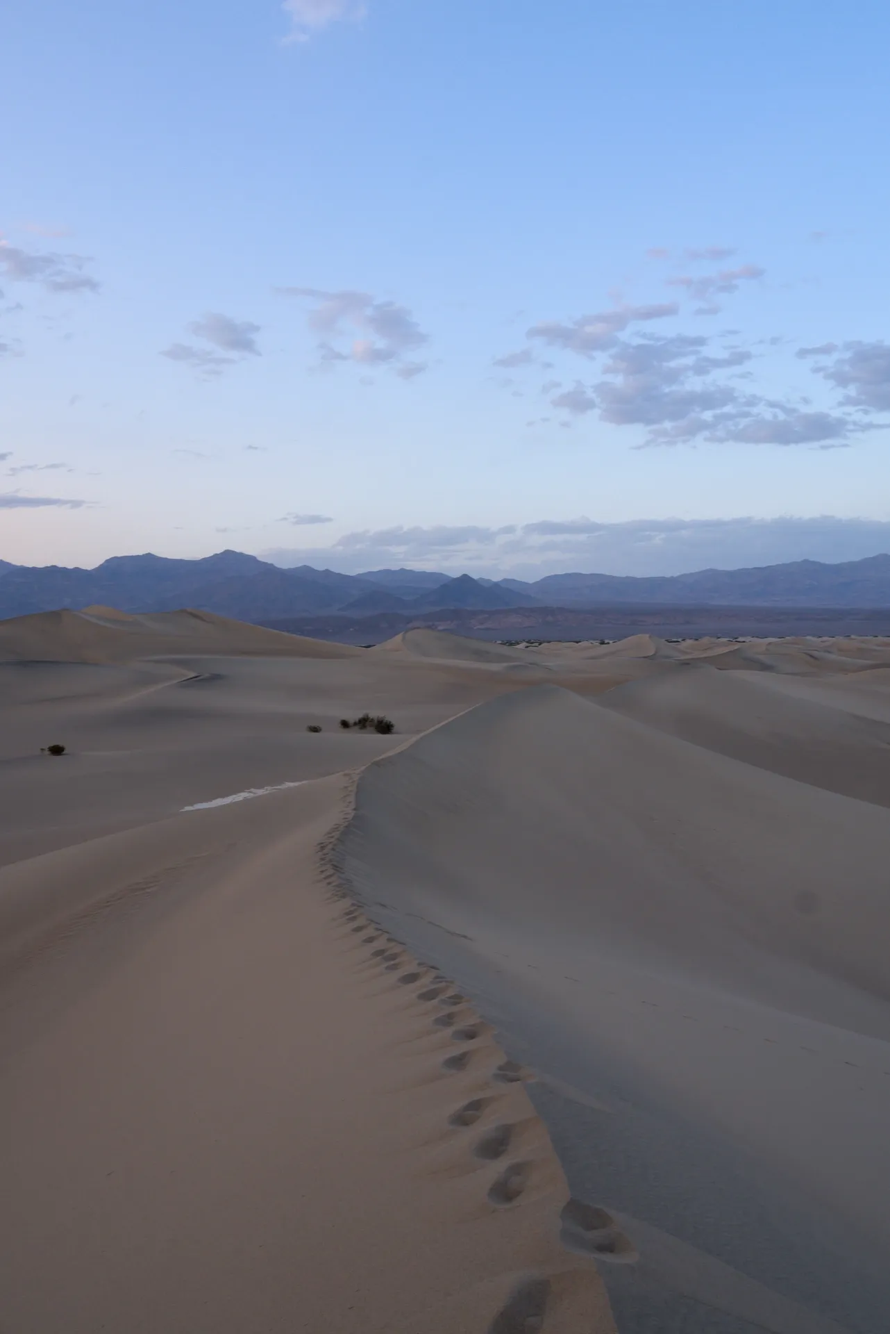Footprint ridge on the Mesquite Dunes at twilight.