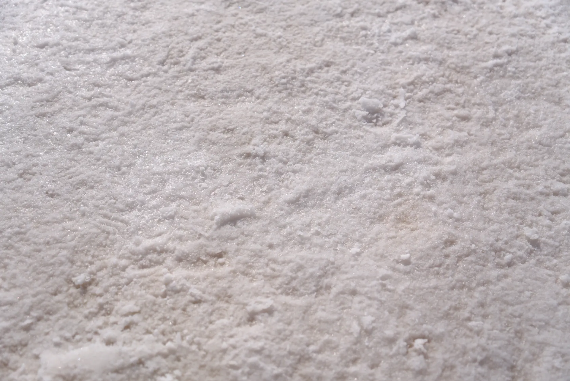 Closeup of the salt crust texture.