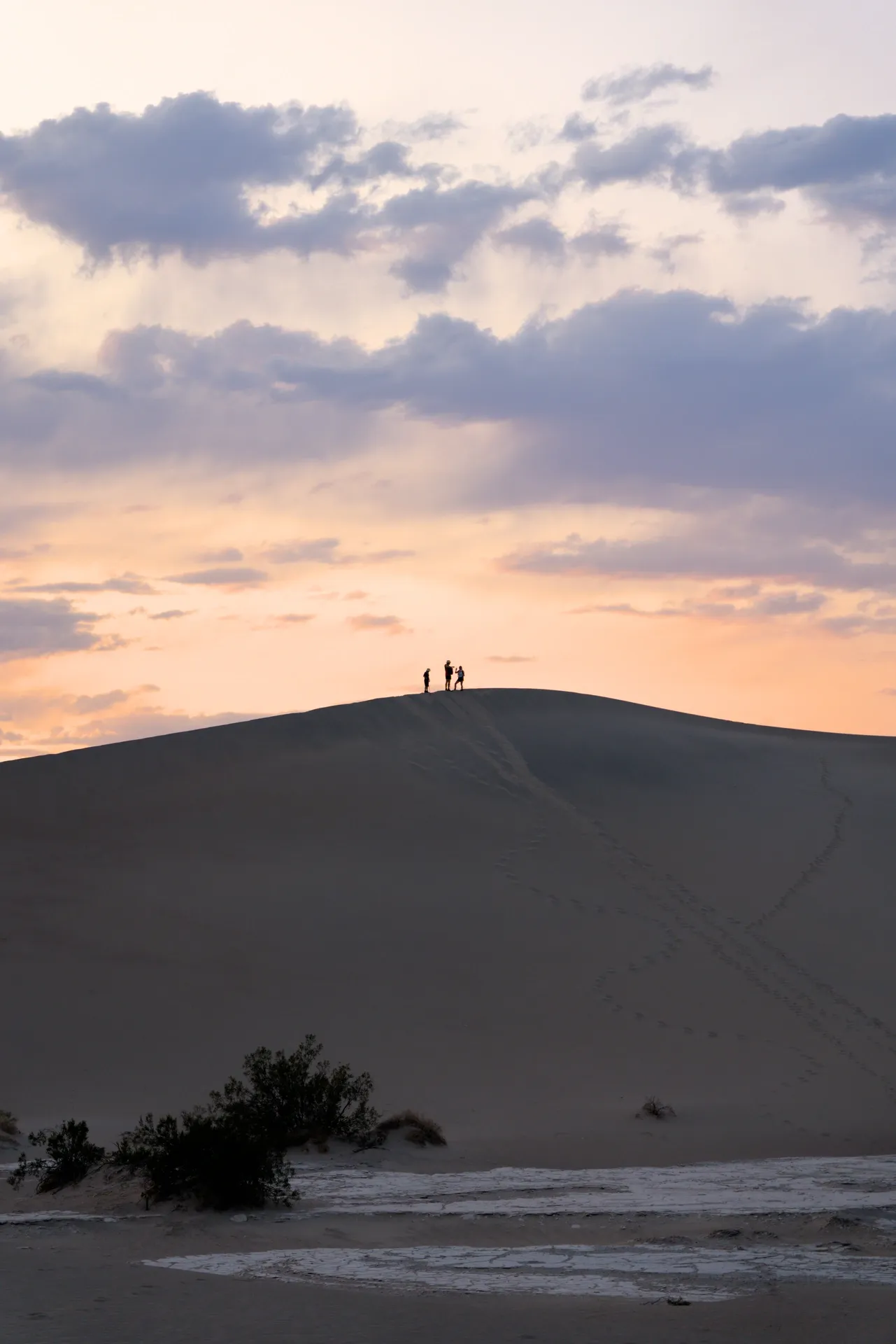 Silhouettes on a Mesquite dune at sunset.