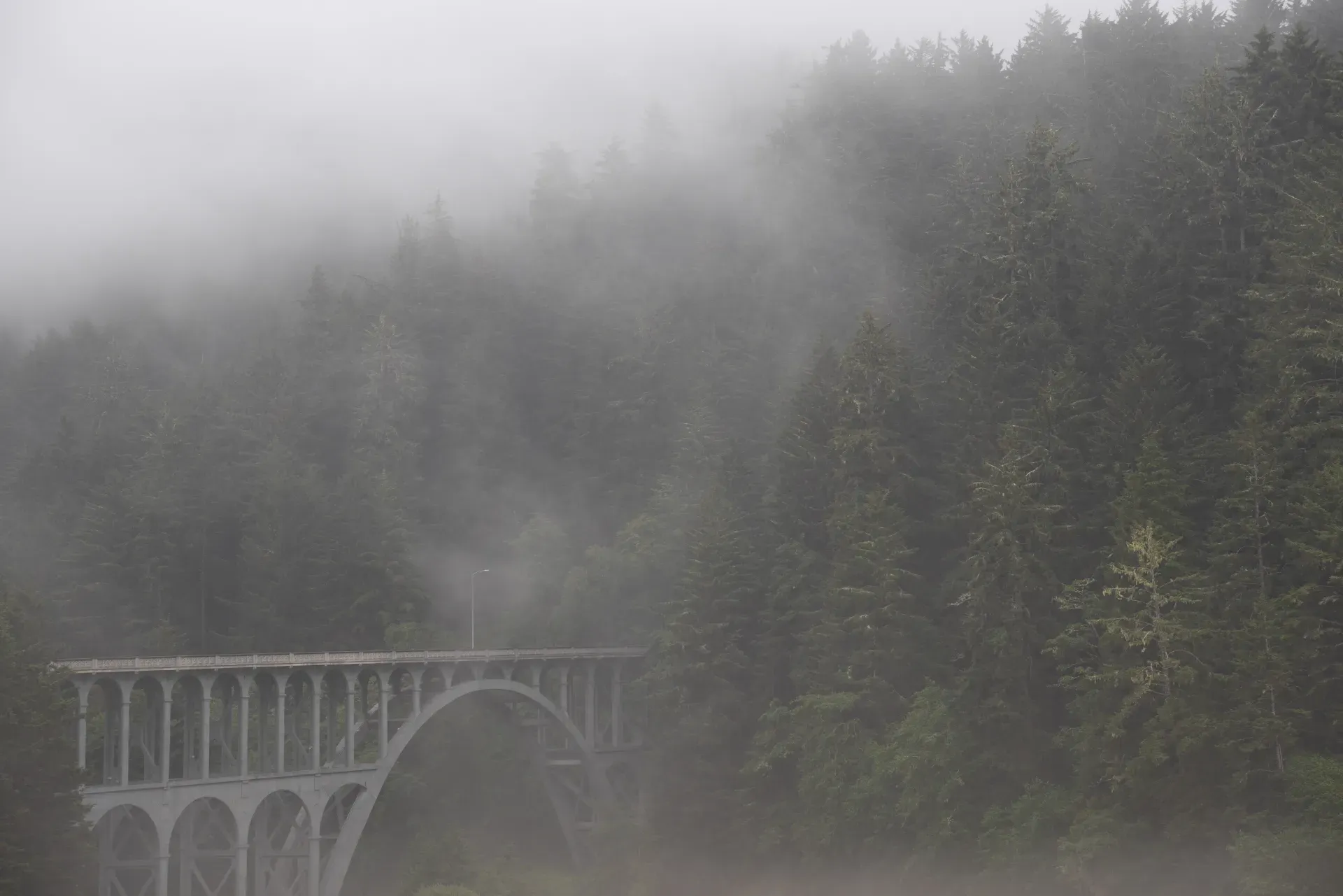 Cape Creek arch bridge in fog.