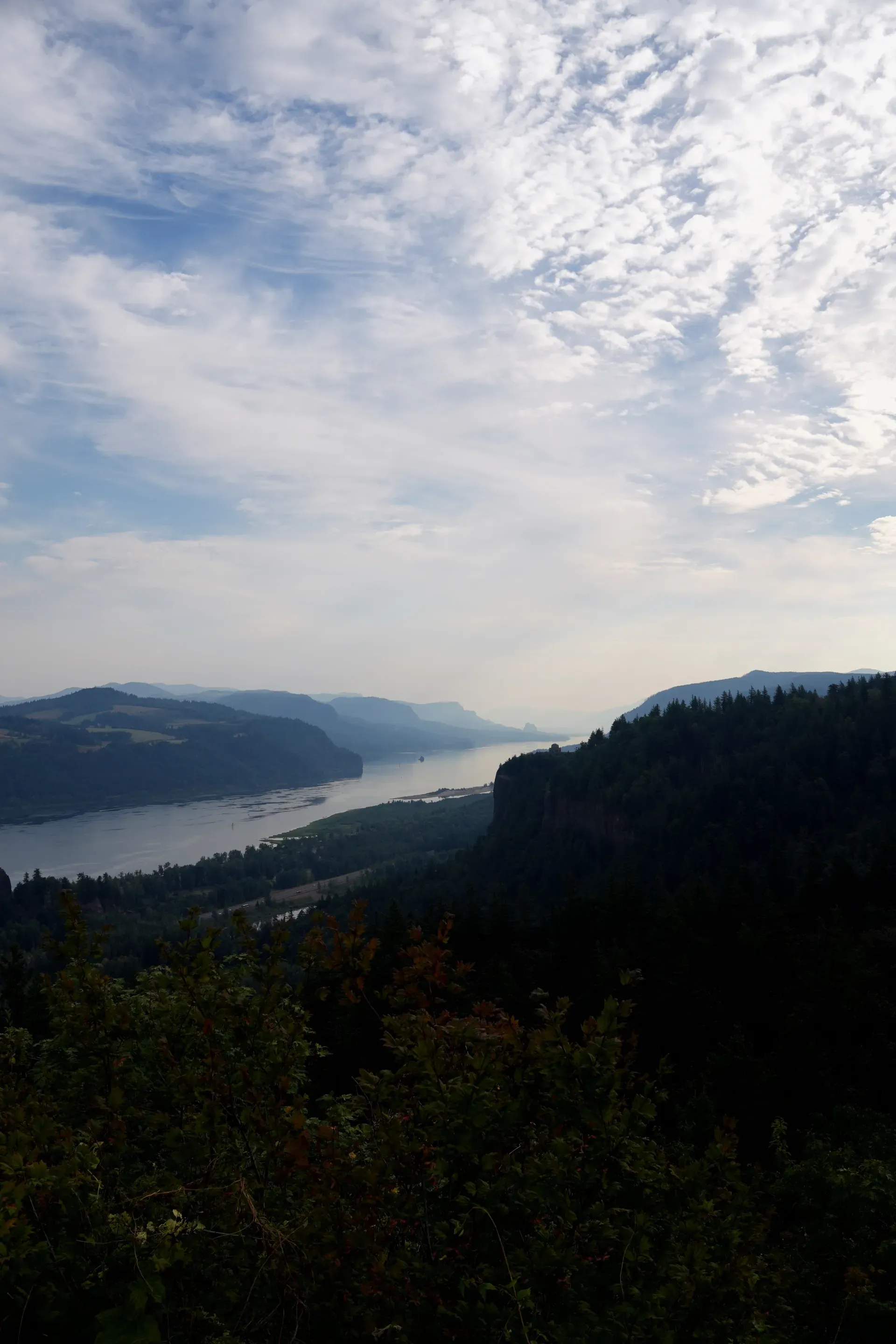 Columbia River Gorge overlook.