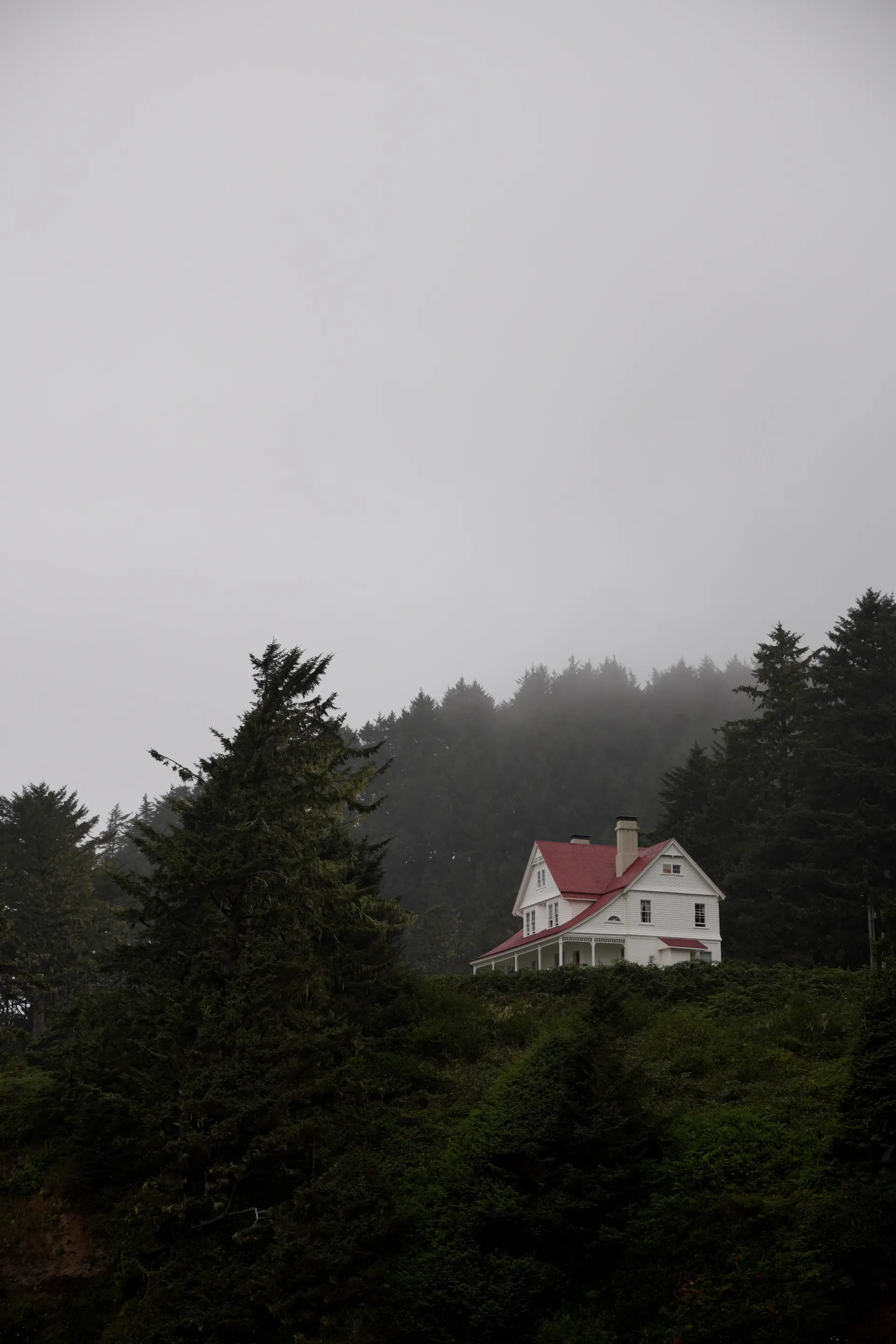 Keeper's house in foggy forest.