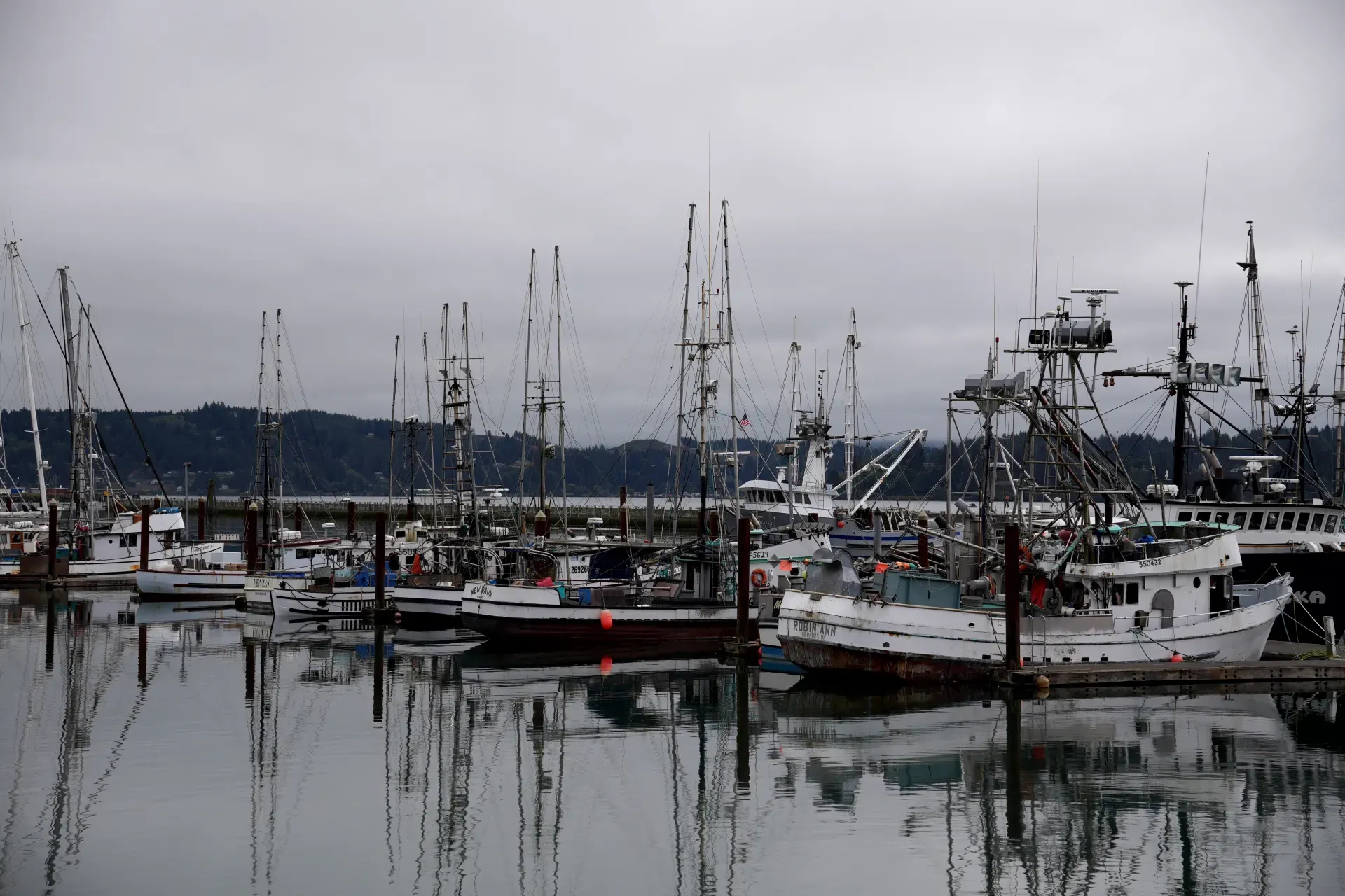 Fishing boats in Newport harbor.