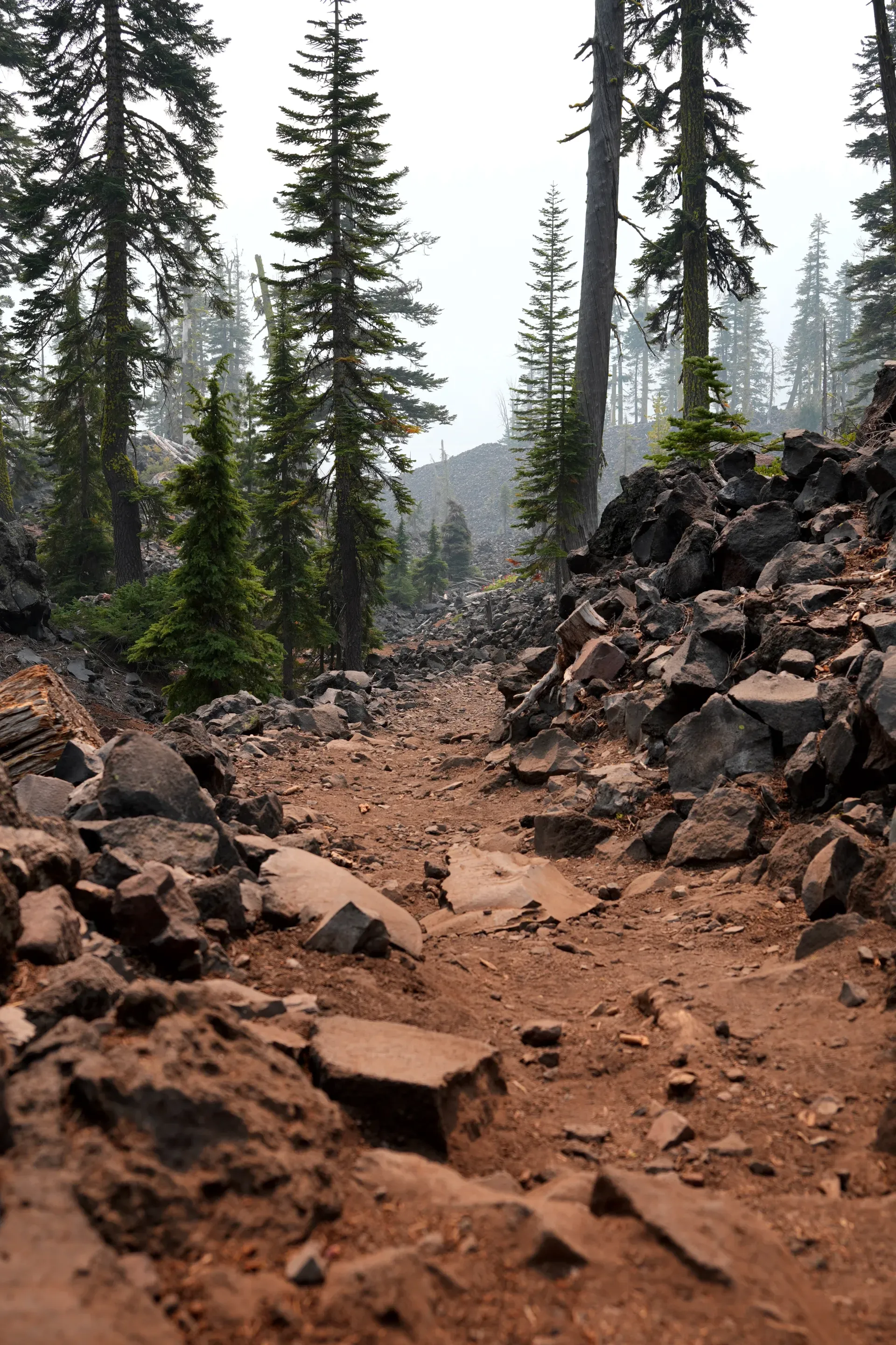 Rocky trail through volcanic forest.