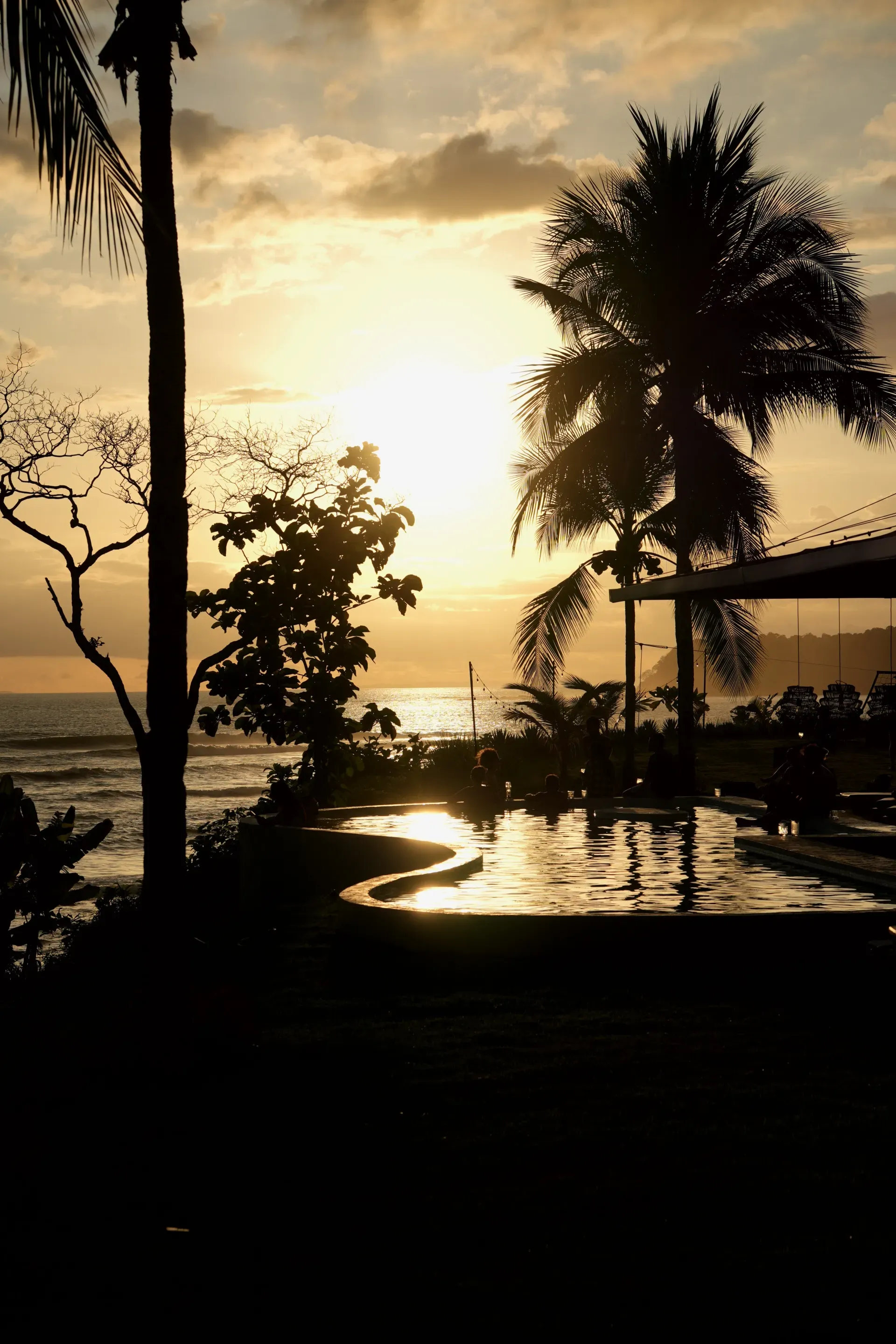 Sunset, palm trees, pool, and the Pacific.