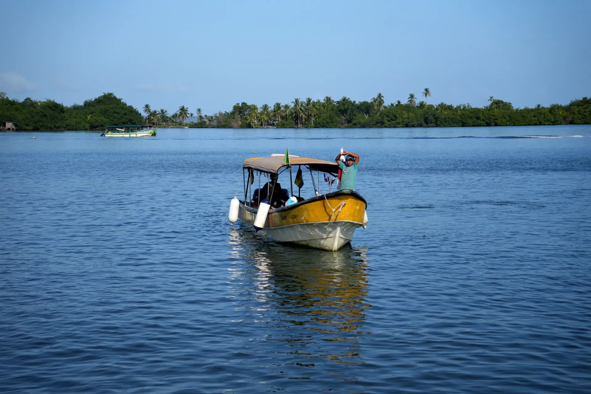 A yellow boat in mangrove water.