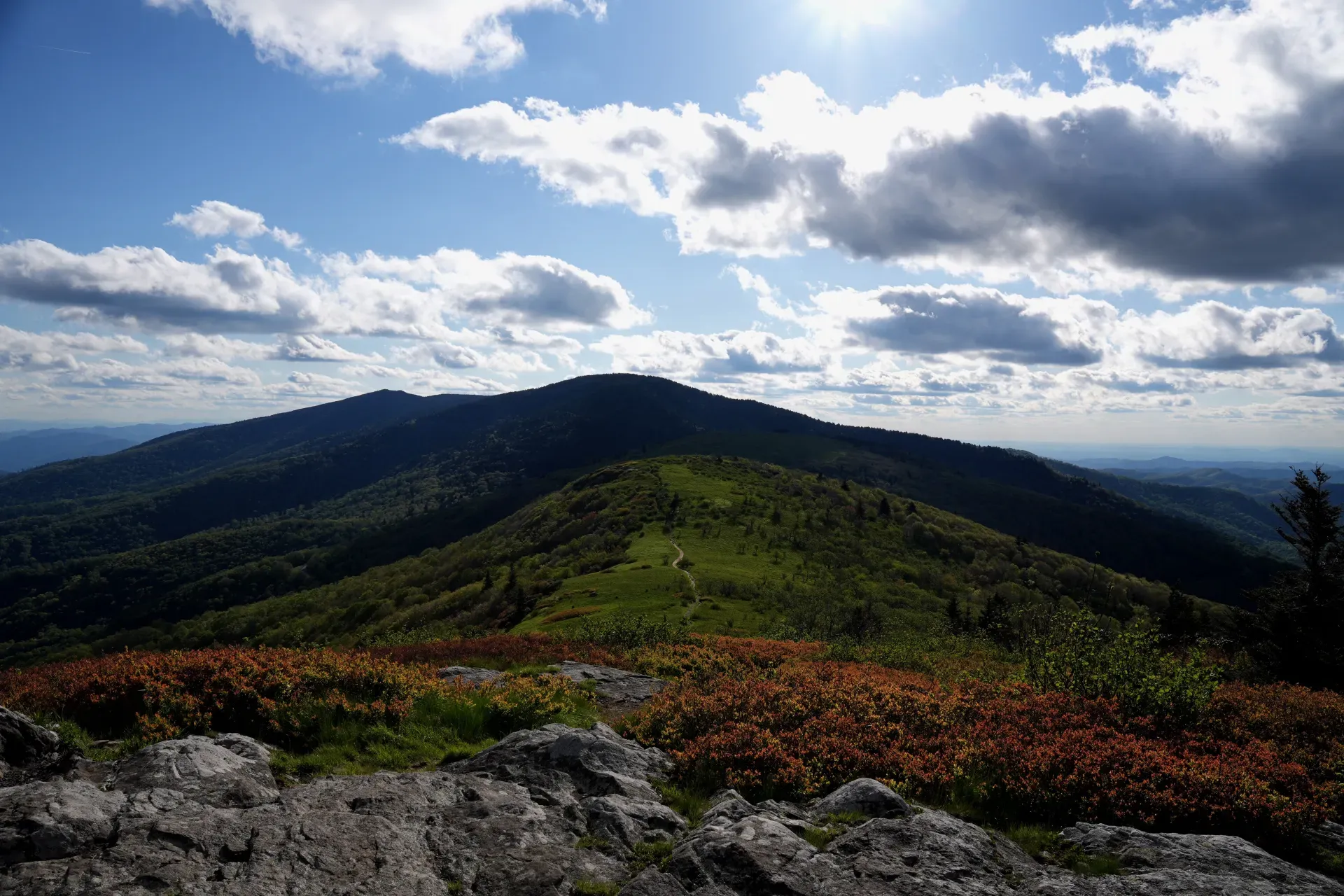 A grassy summit with orange flora.