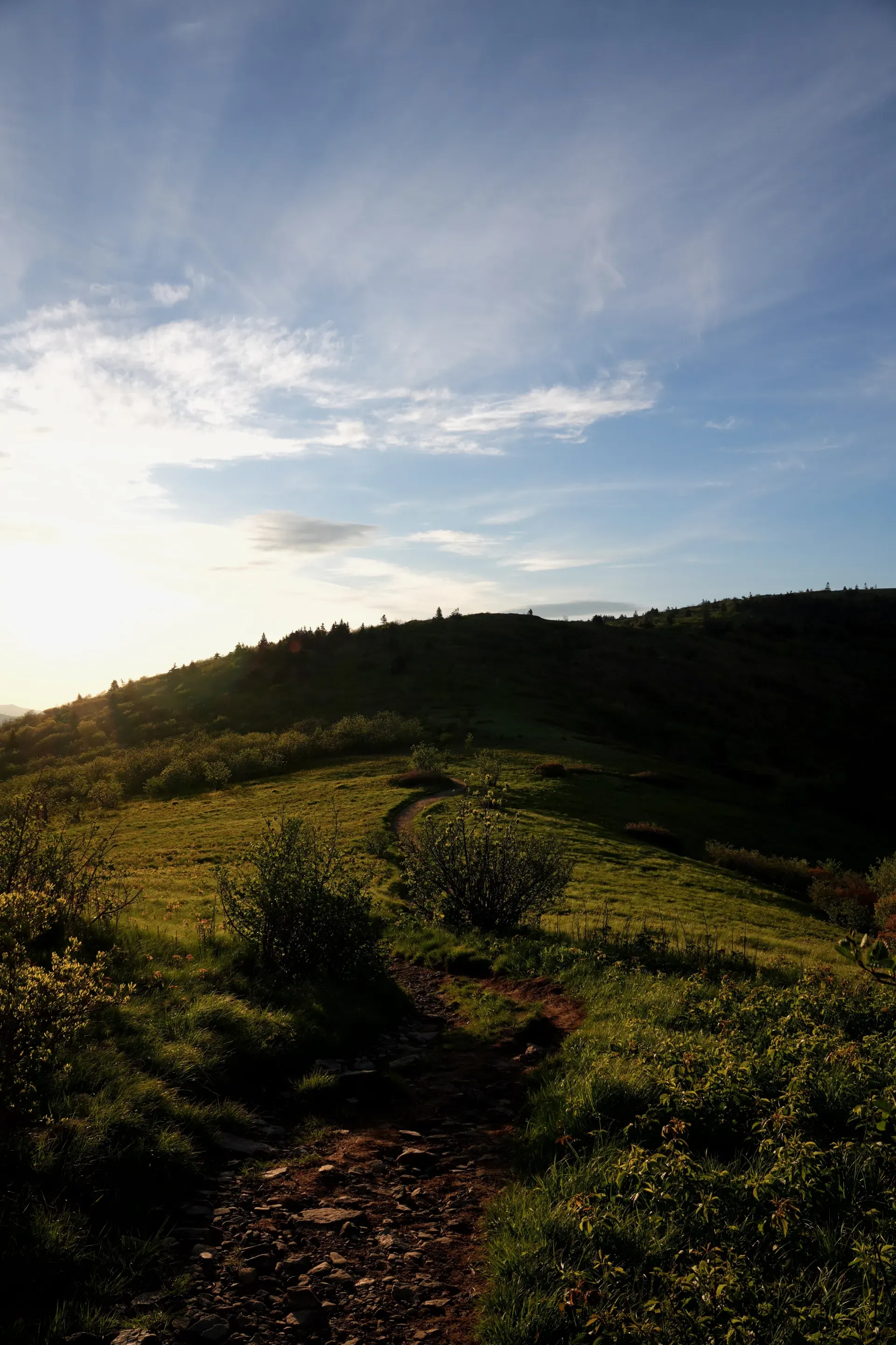 Morning trail on an uphill path.