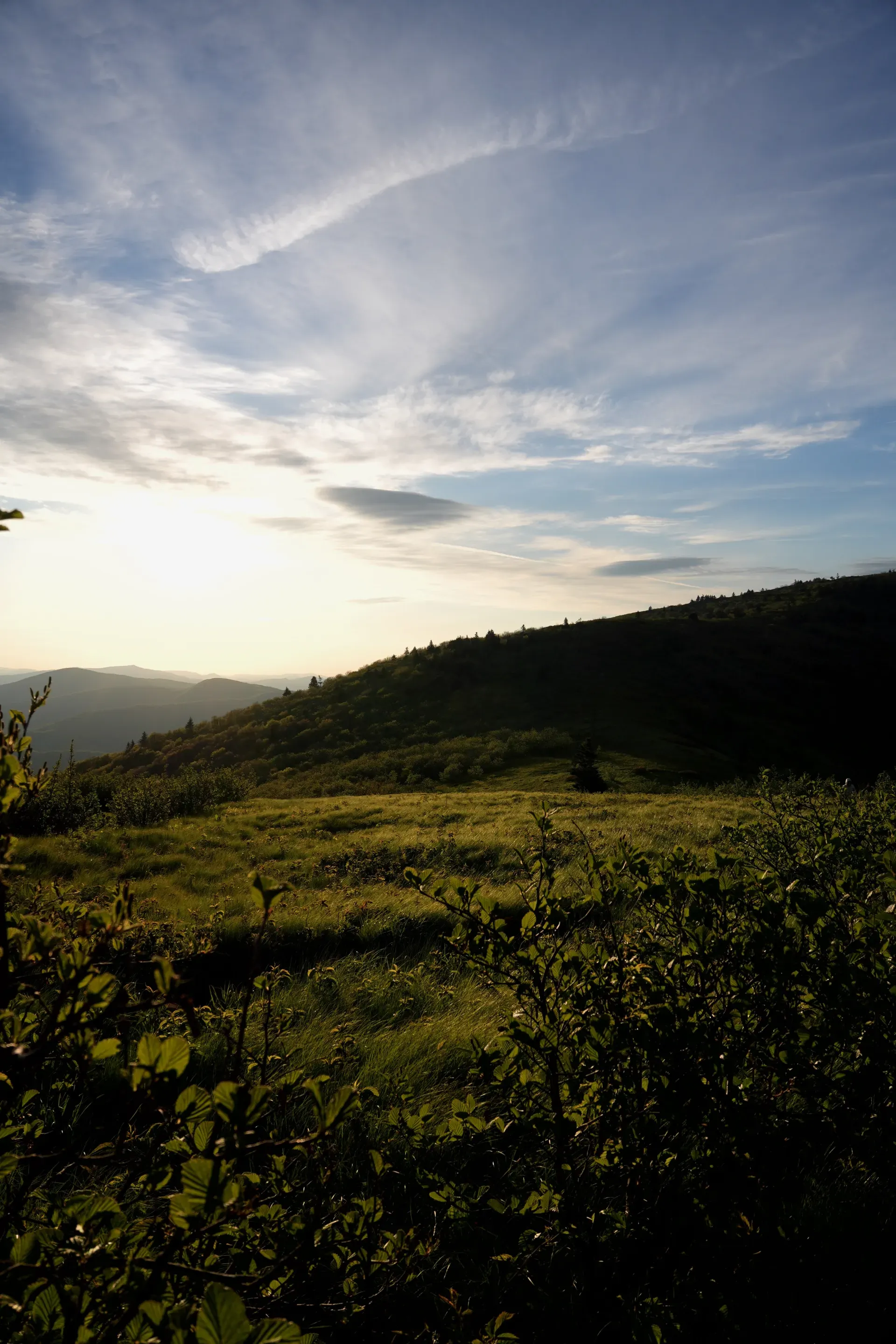 Wispy clouds over a meadow in the morning.